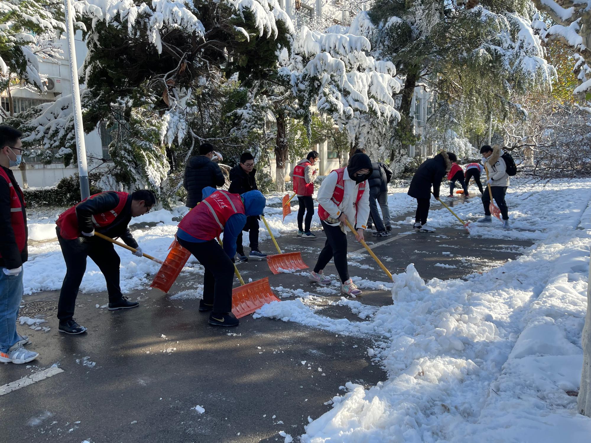 学生志愿者图片冬季图片
